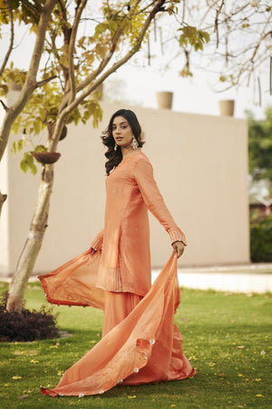 Prach V-neck kurta set | TCT-848
