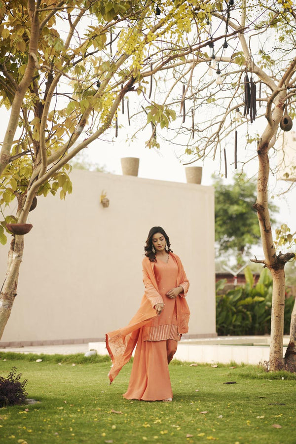 Prach V-neck kurta set | TCT-848
