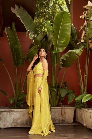 Lime Green Bandhani Set | TCT-676