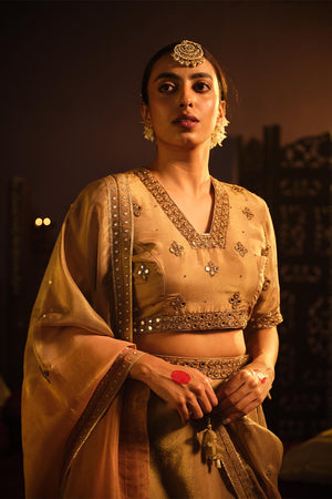 Brown Lehanga set | TCT-762
